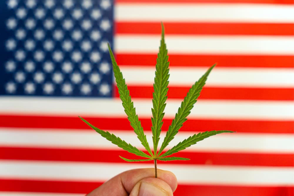 THCA Laws in the USA
