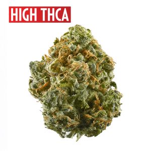 Blue Dream Wholesale THCa Flower Pounds