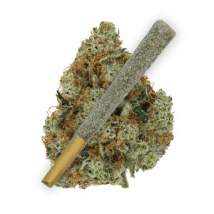 Apple Tartz Bulk THCA Prerolls