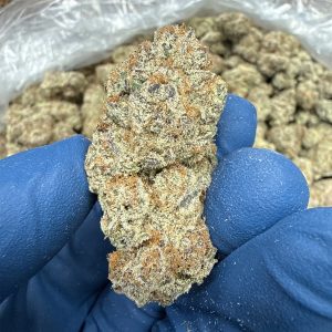 Black Ice Cheap THCA Flower