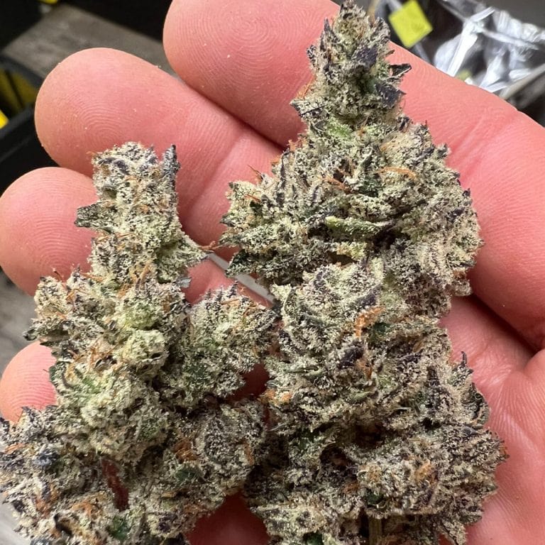 Black Trufflez THCA Flower Premium Indica THCA Flower Strain