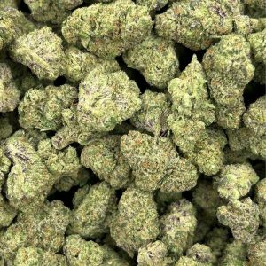 Donny Burger Indoor THCA Flower Pounds