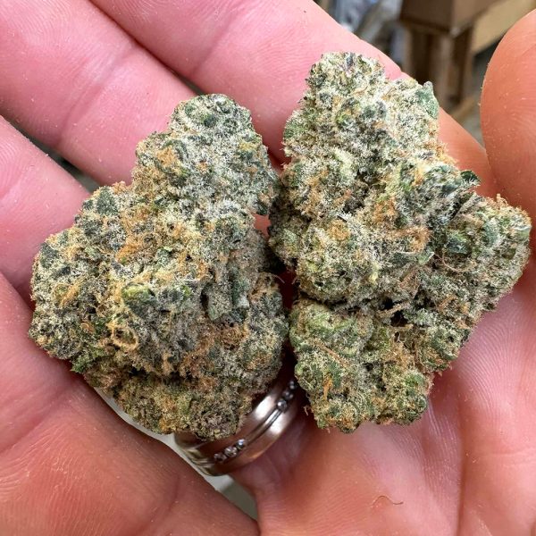 Garlic Breath THCA Flower Pounds Wholesale