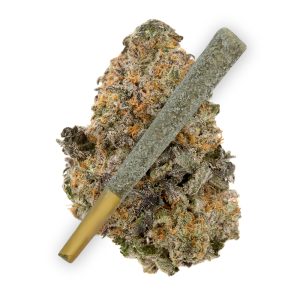 Gelato Diamond THCA Prerolls