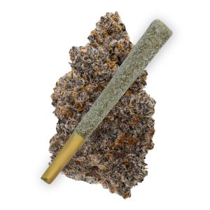 Best THCA Prerolls Gumbo Strain