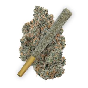 Gush Mintz Wholesale THCA Prerolls