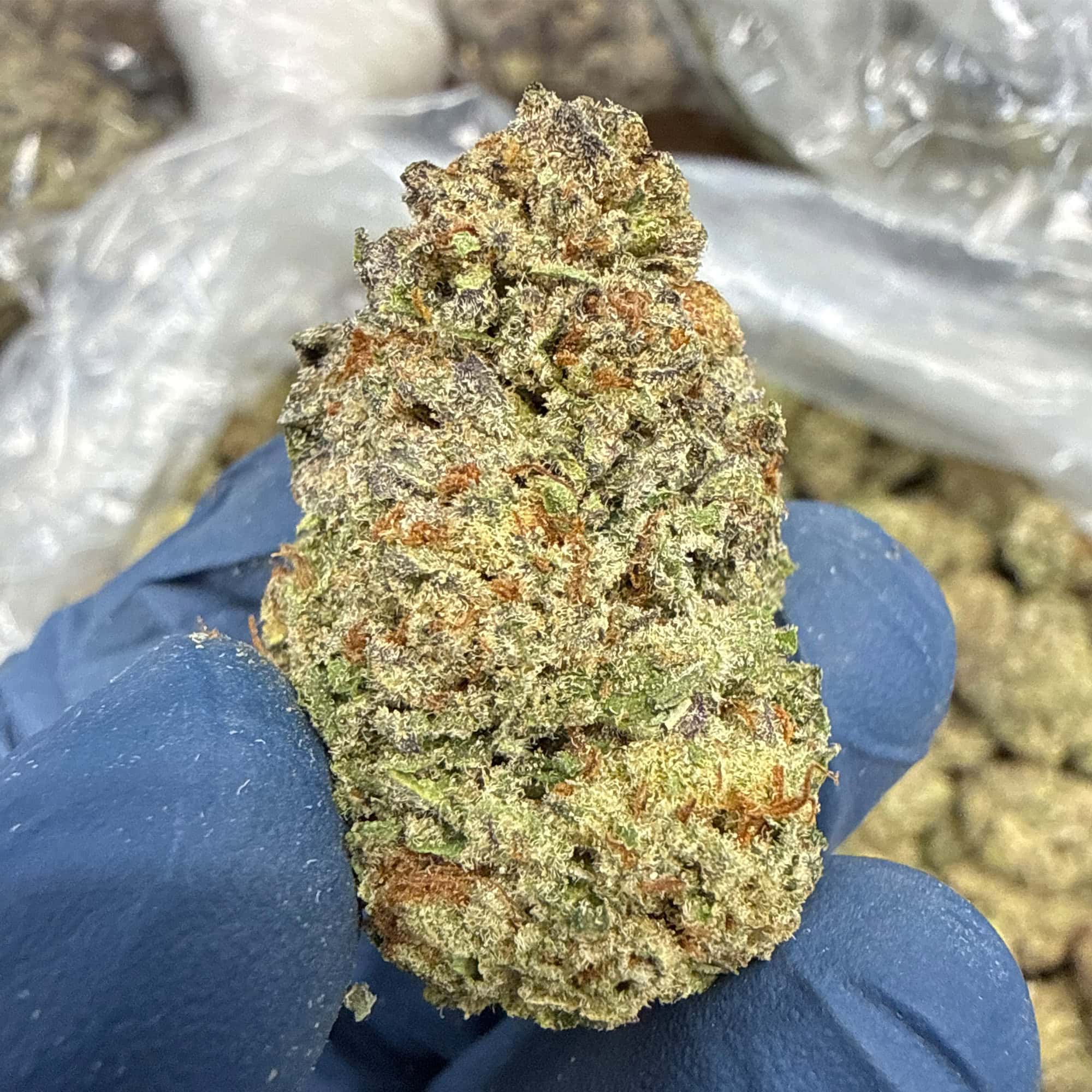 Jealousy Cheap THCA Flower Pounds