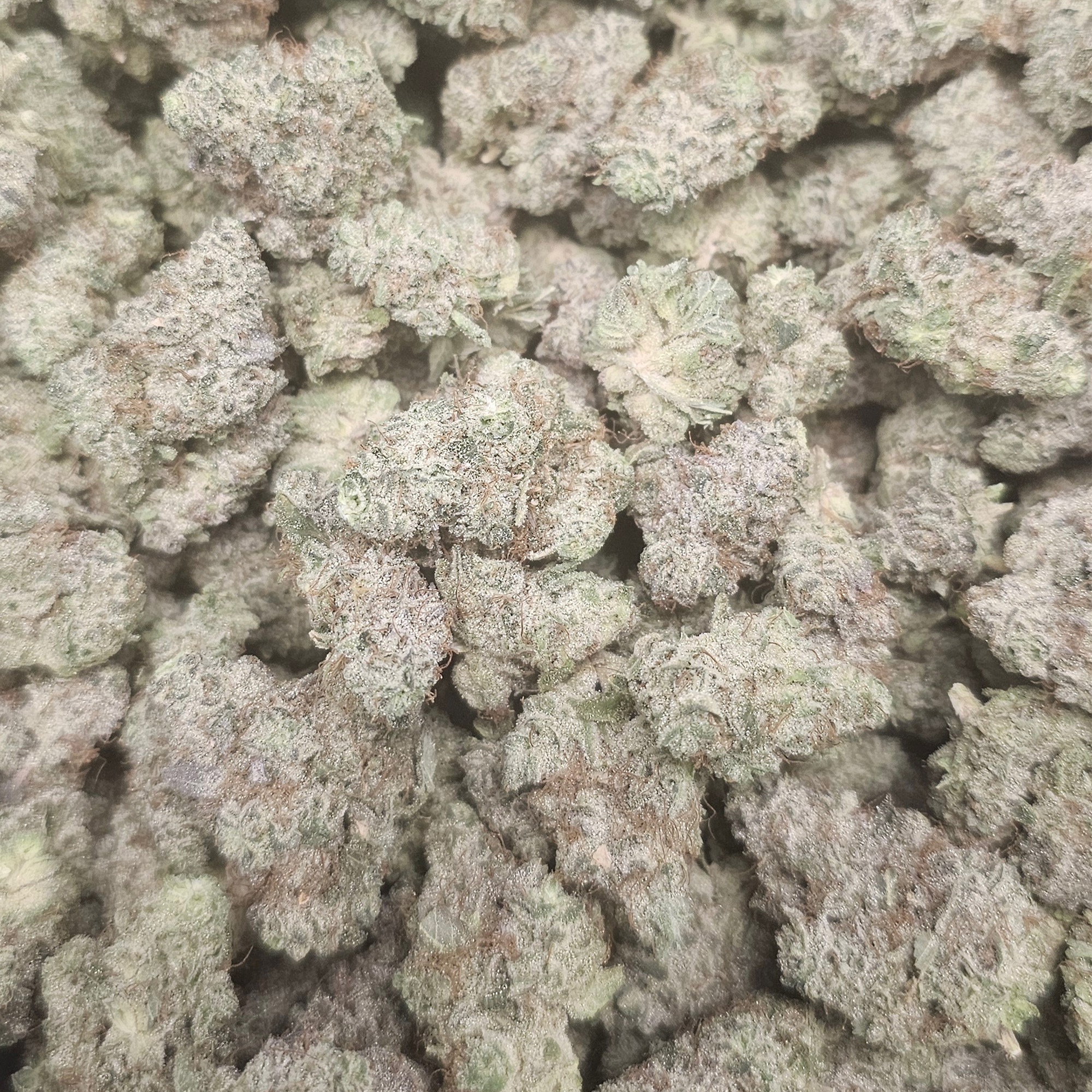 Jealousy THCA Flower Pounds for Sale