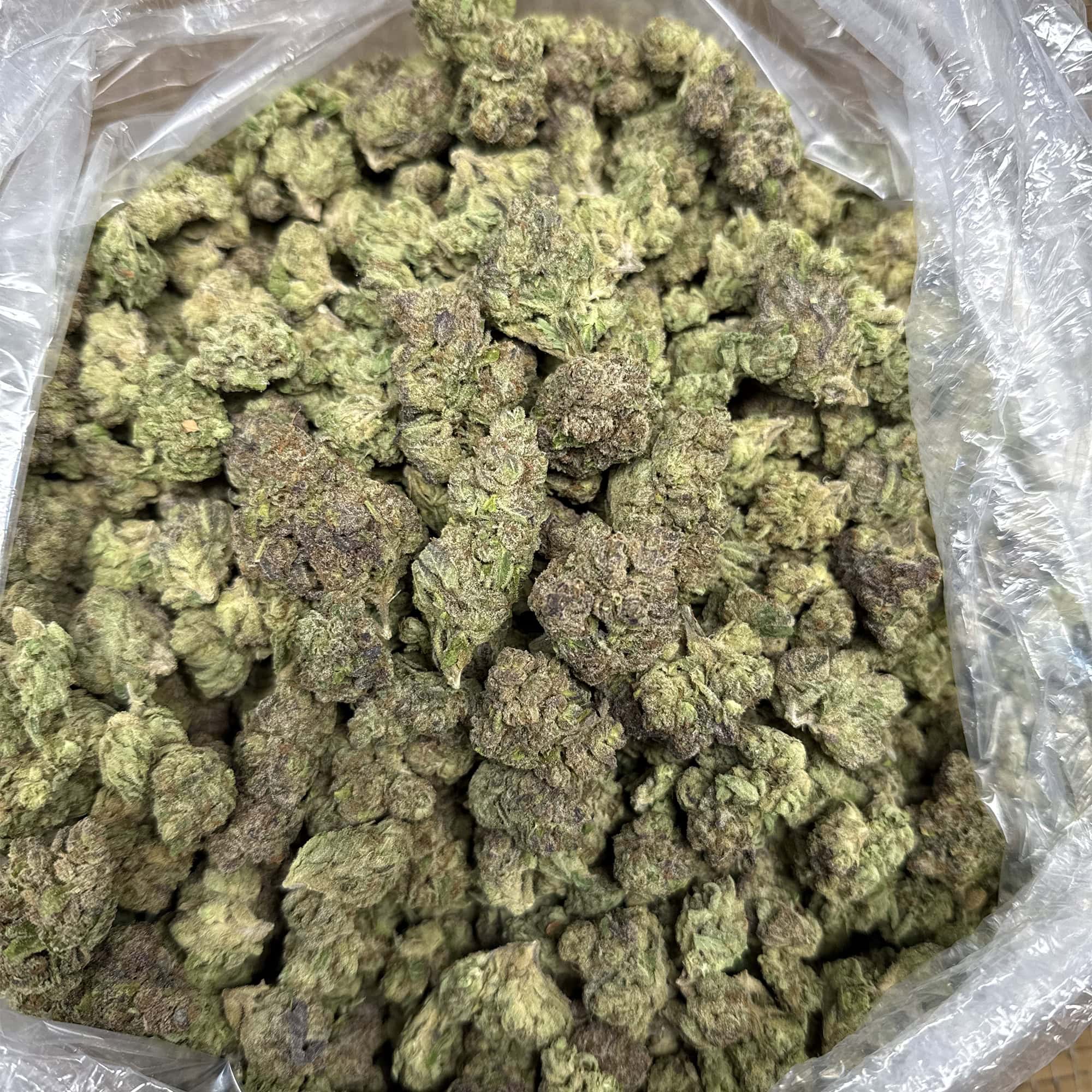 Lemon Cherry Gelato THCA Flower for Sale