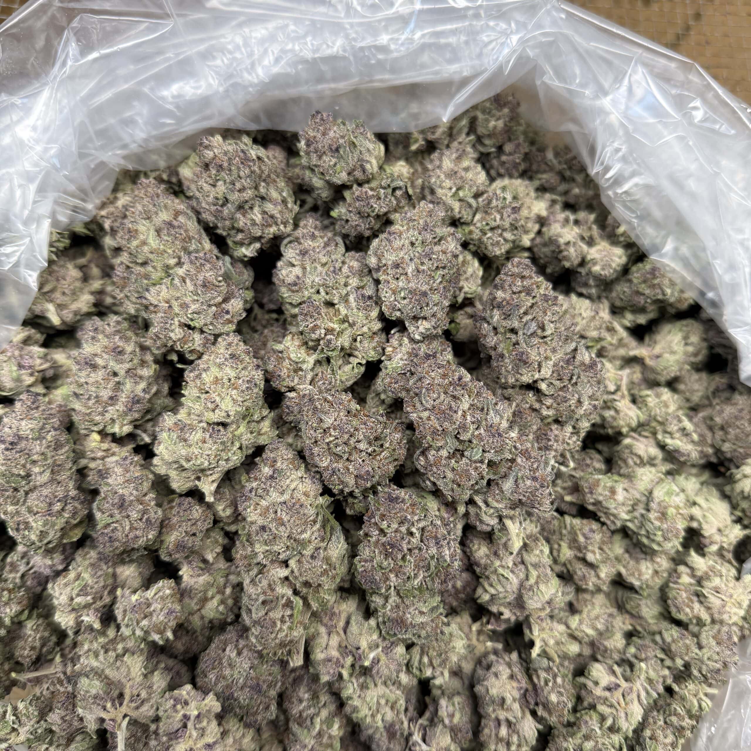 No Drama Llama Cheap THCA Flower Pounds