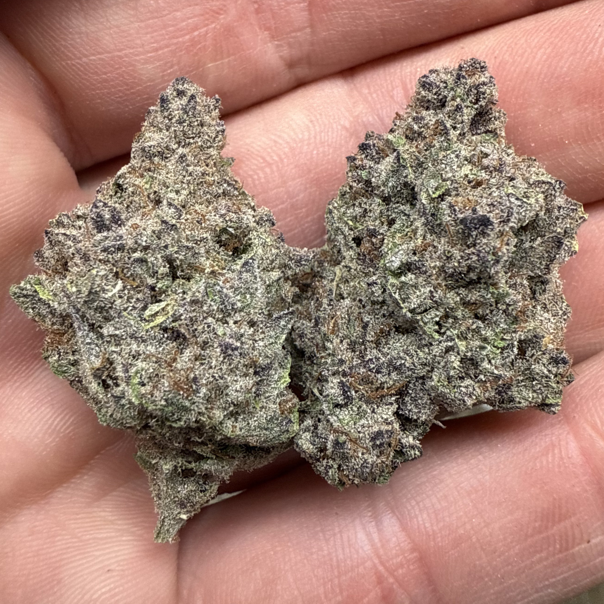 No Drama Llama THCa Flower Pounds - Image 2