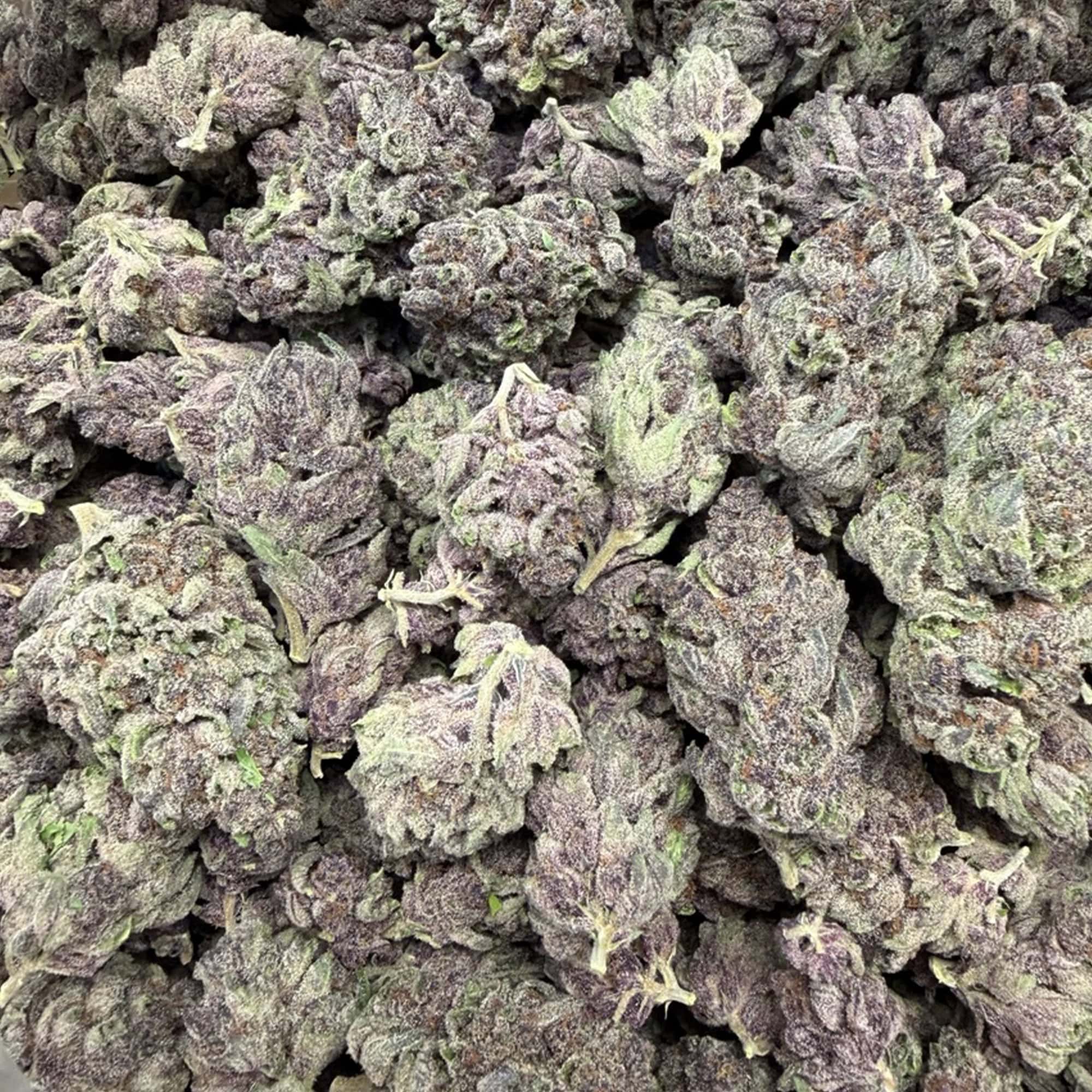 No Drama Llama Cheap THCA Flower Pounds