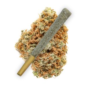 Orange Cookies THCA Flower Prerolls