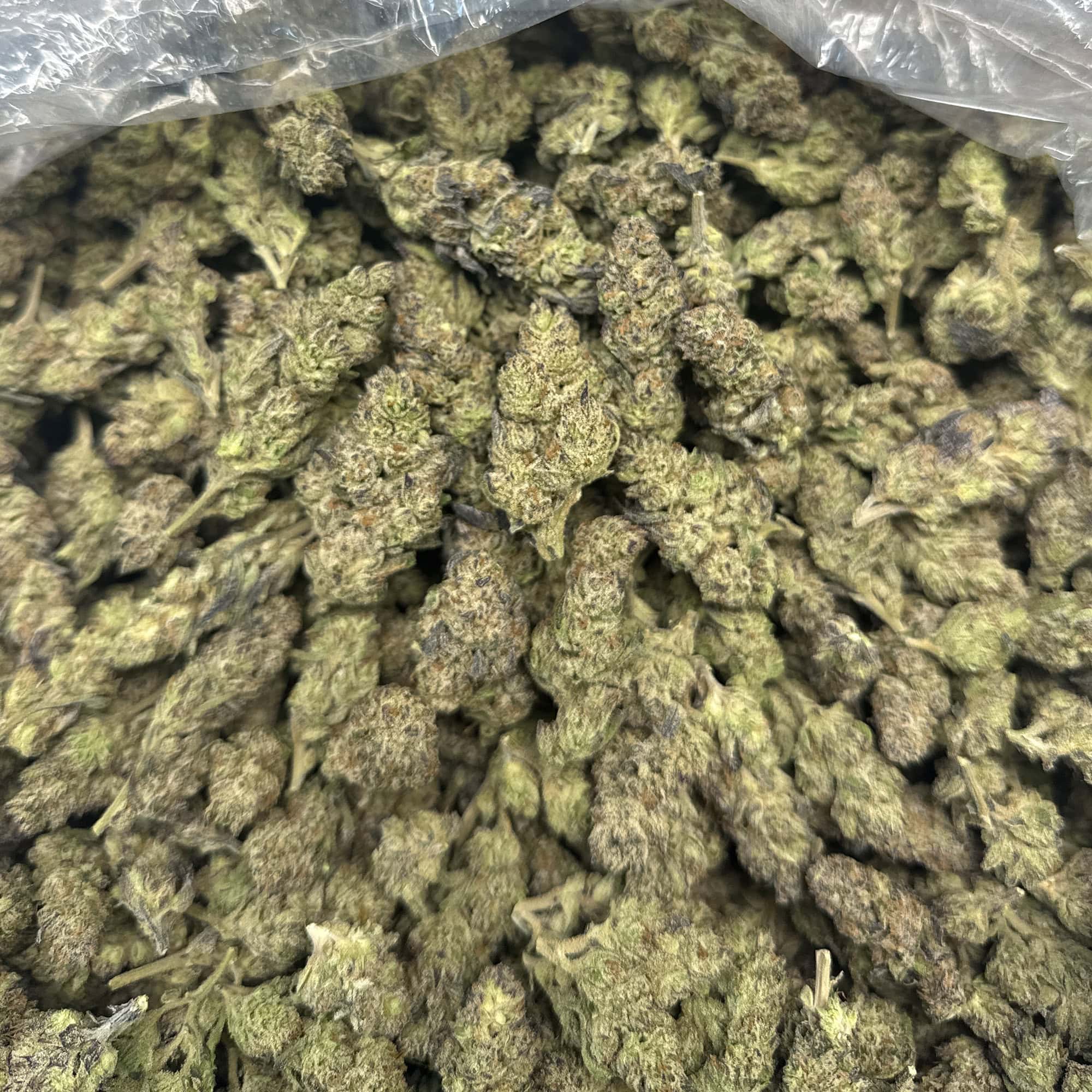 Oreoz Cheap THCA Flower Pounds