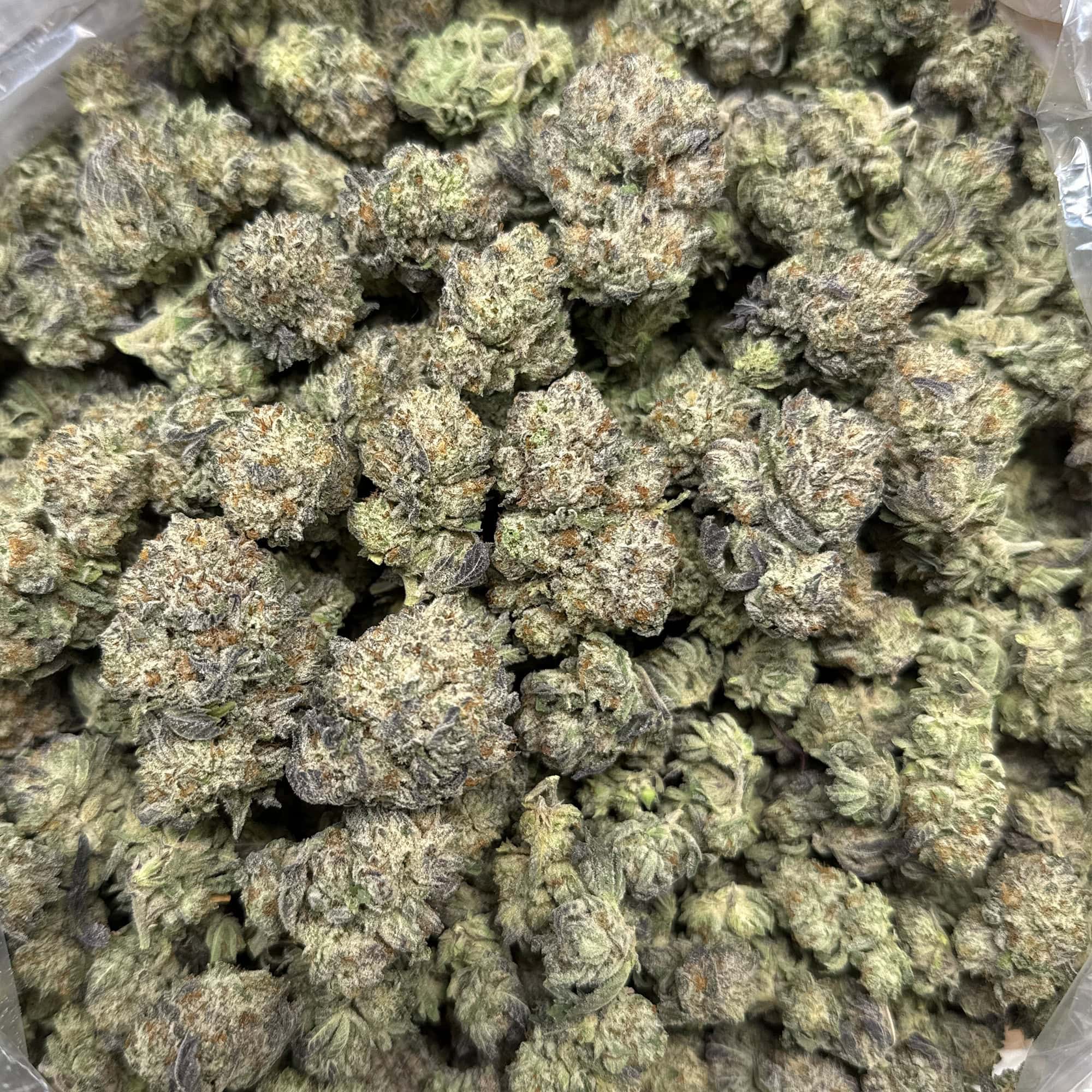 Oreoz THCA Flower Pounds Cheap