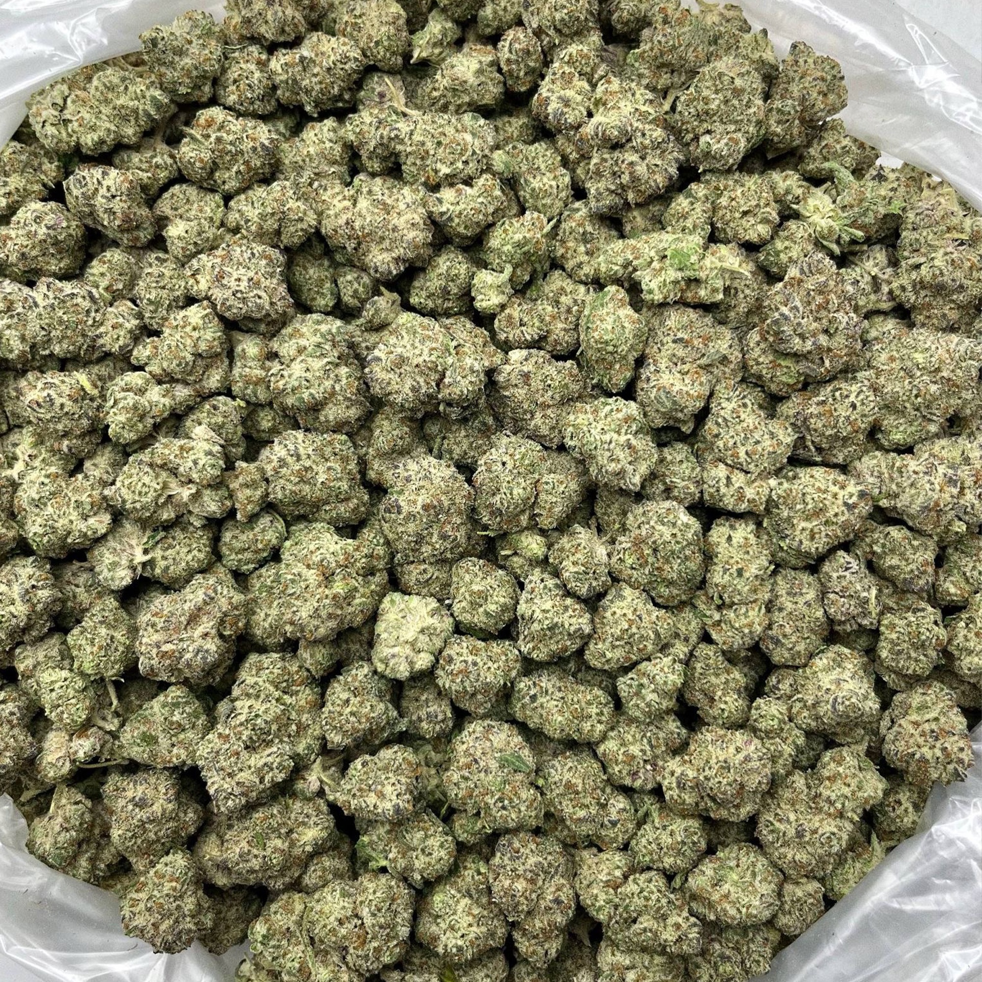 Bulke THCa Flower Oreoz