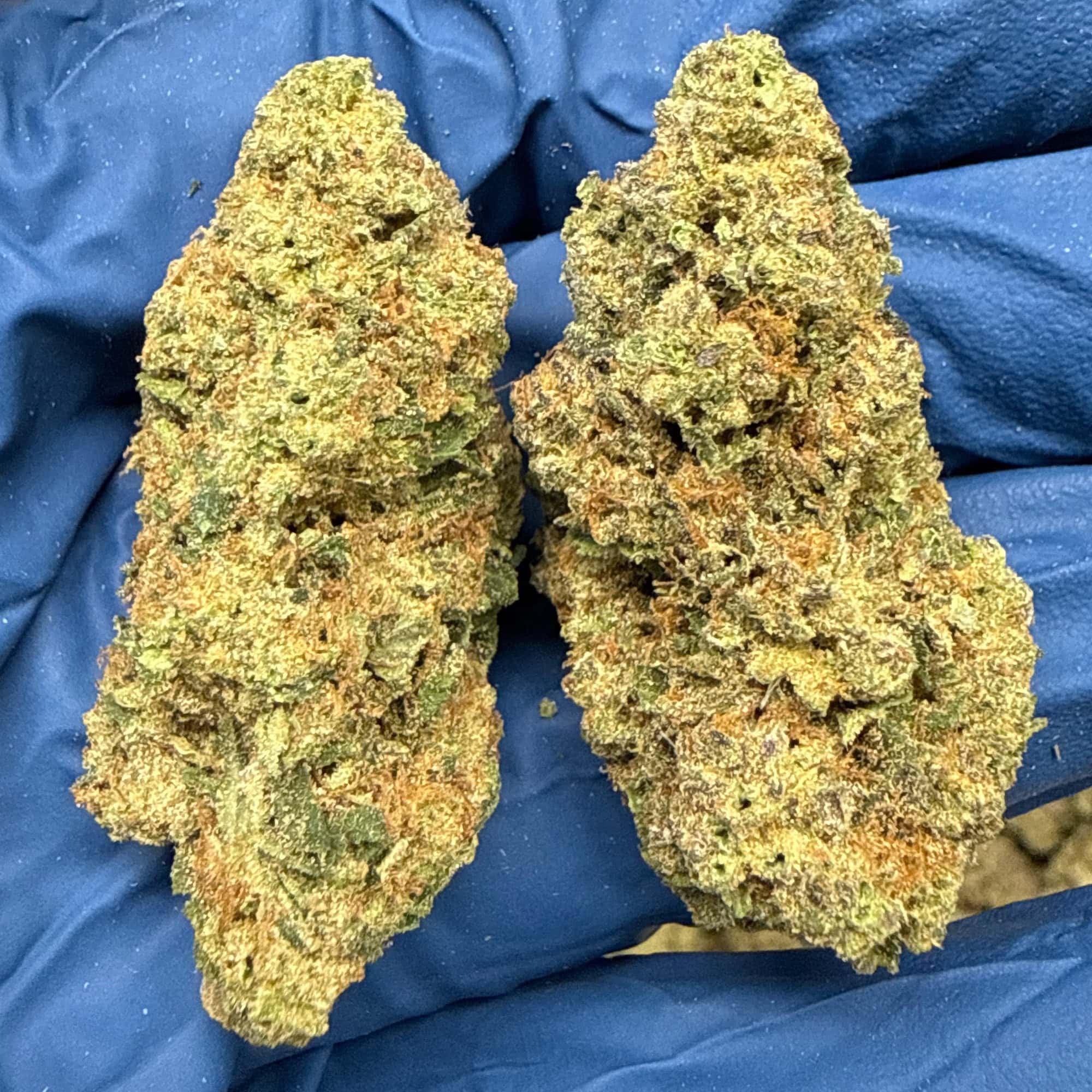 Pineapple OG Cheap THCA Flower Pounds