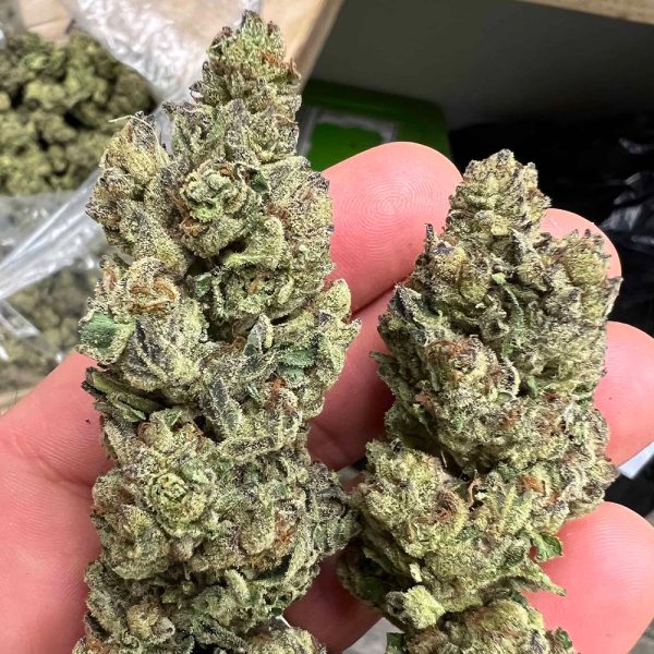 Pineapple OG THCA Flower Pounds Sativa