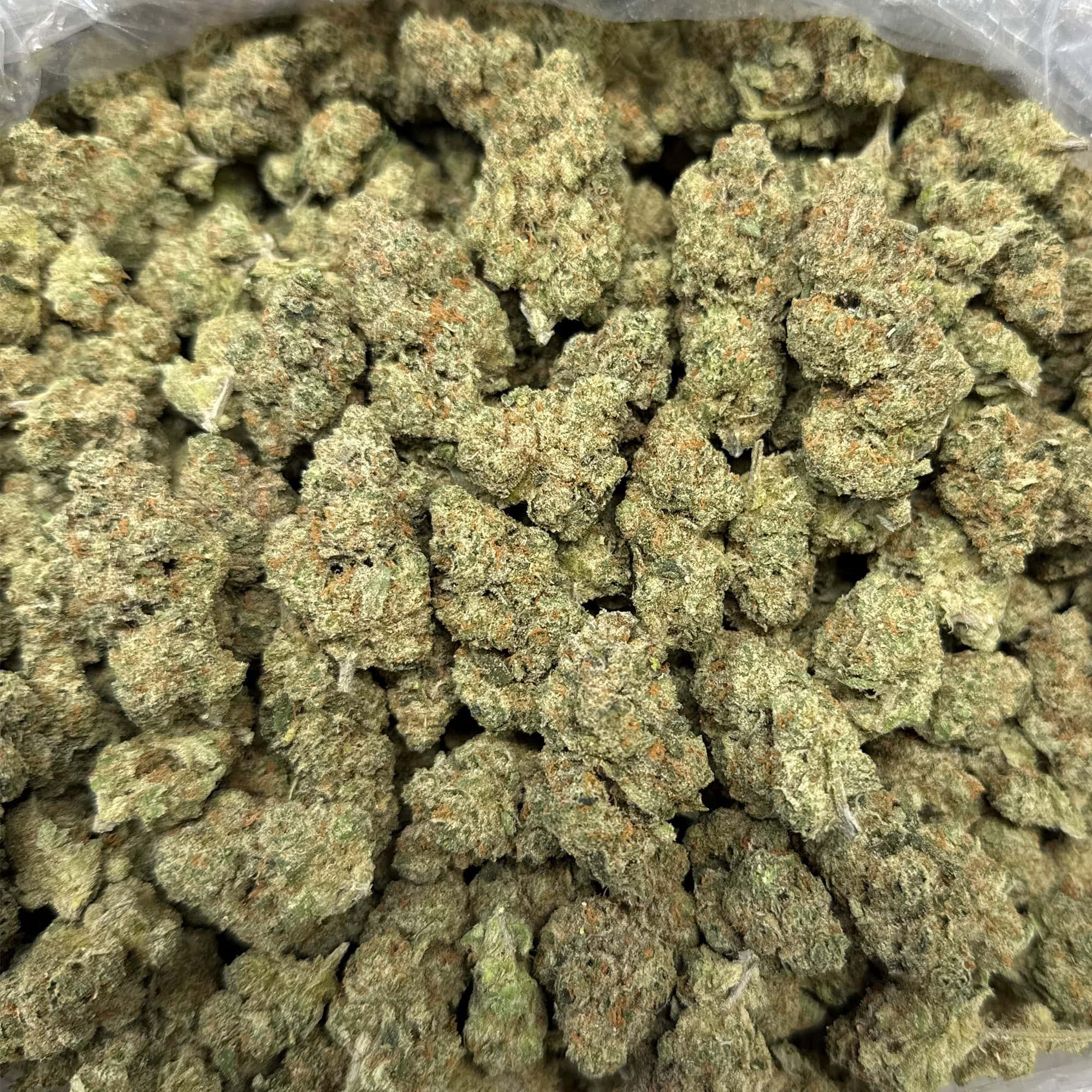 Quarantine Kush Wholesale THCA Flower