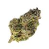 Sherbet THCA Flower Pounds Bulk Wholesale