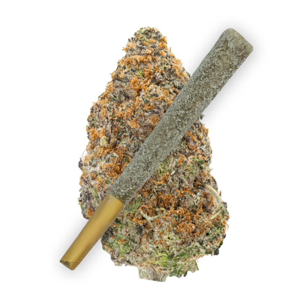 Triple Hashburger THCA Prerolls