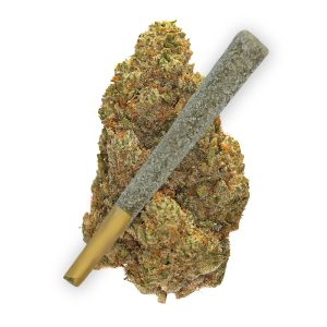 Watermelon Zkittlez Buy THCA Prerolls