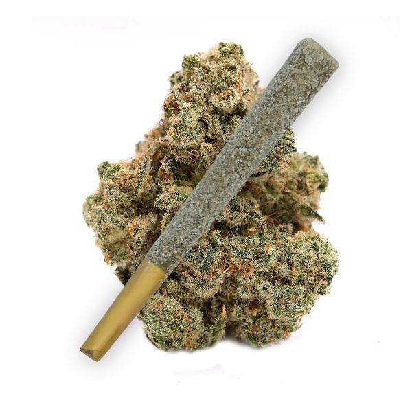 White Runtz Diamond THCA Prerolls