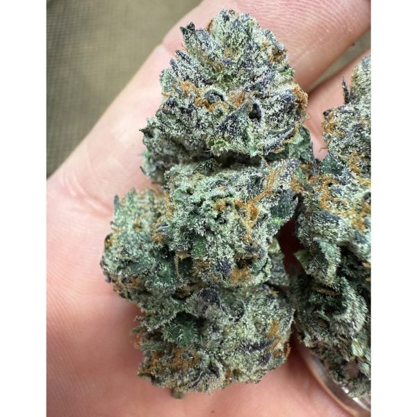 White Runtz THCA Flower Pounds