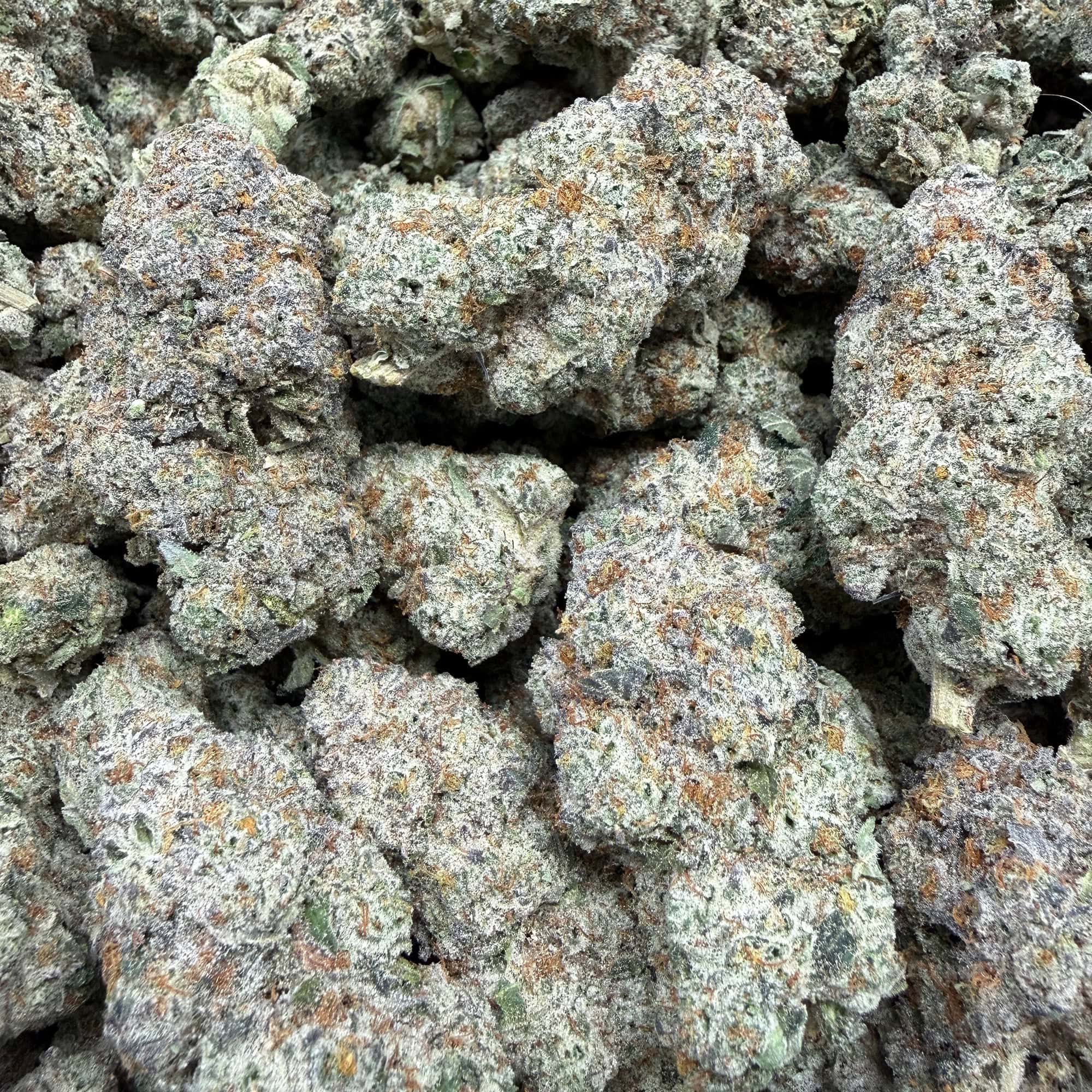 White Runtz THCA Flower for Sale