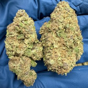 Super Buff Cherry Wholesale THCA Flower