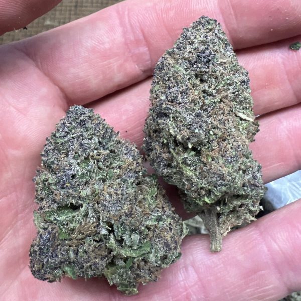 Groovy Grape THCa Flower Pounds - Image 2