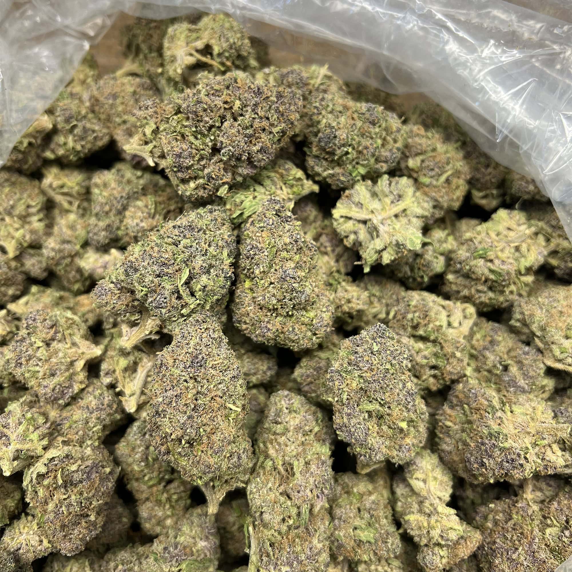 Groovy Grapes Wholesale THCA Pounds