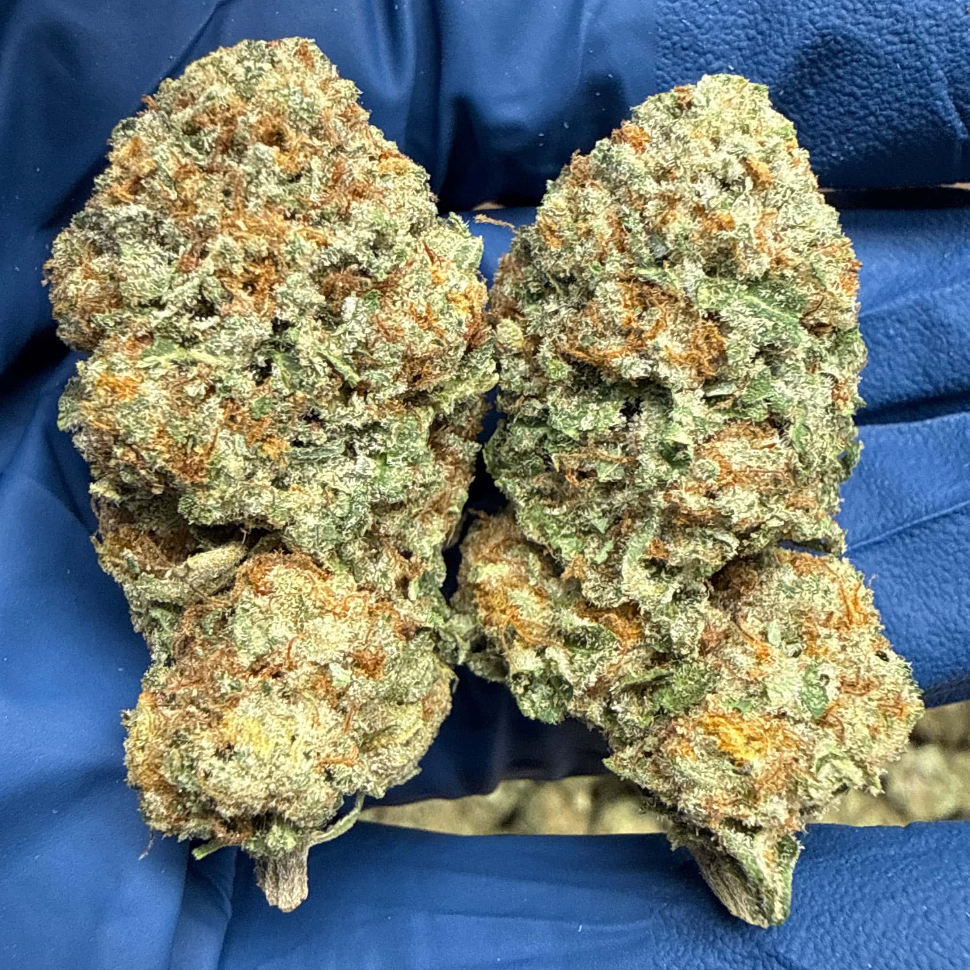 Pineapple Express Cheap THCA Flower Pounds