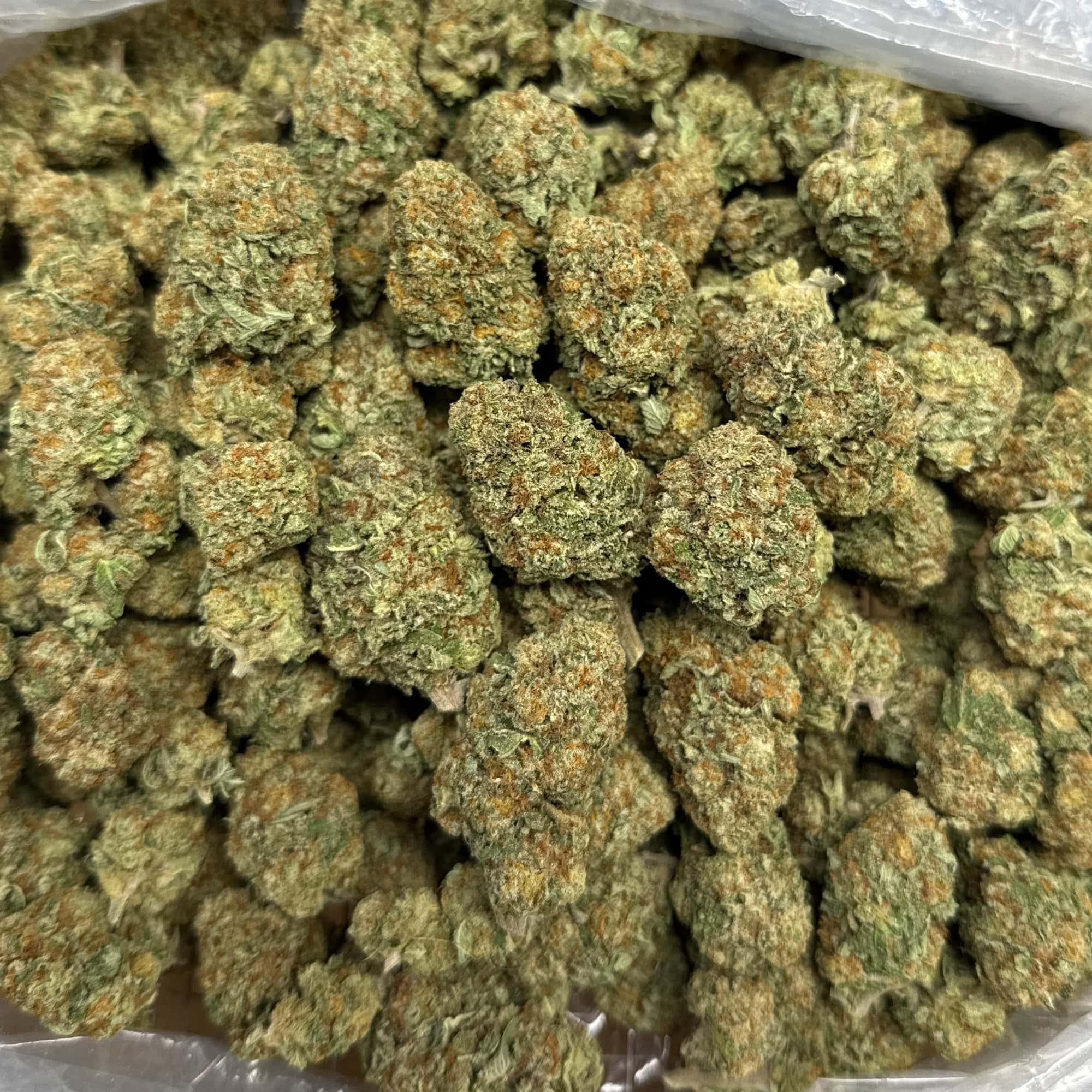 Pineapple Express THCA Flower for Sale