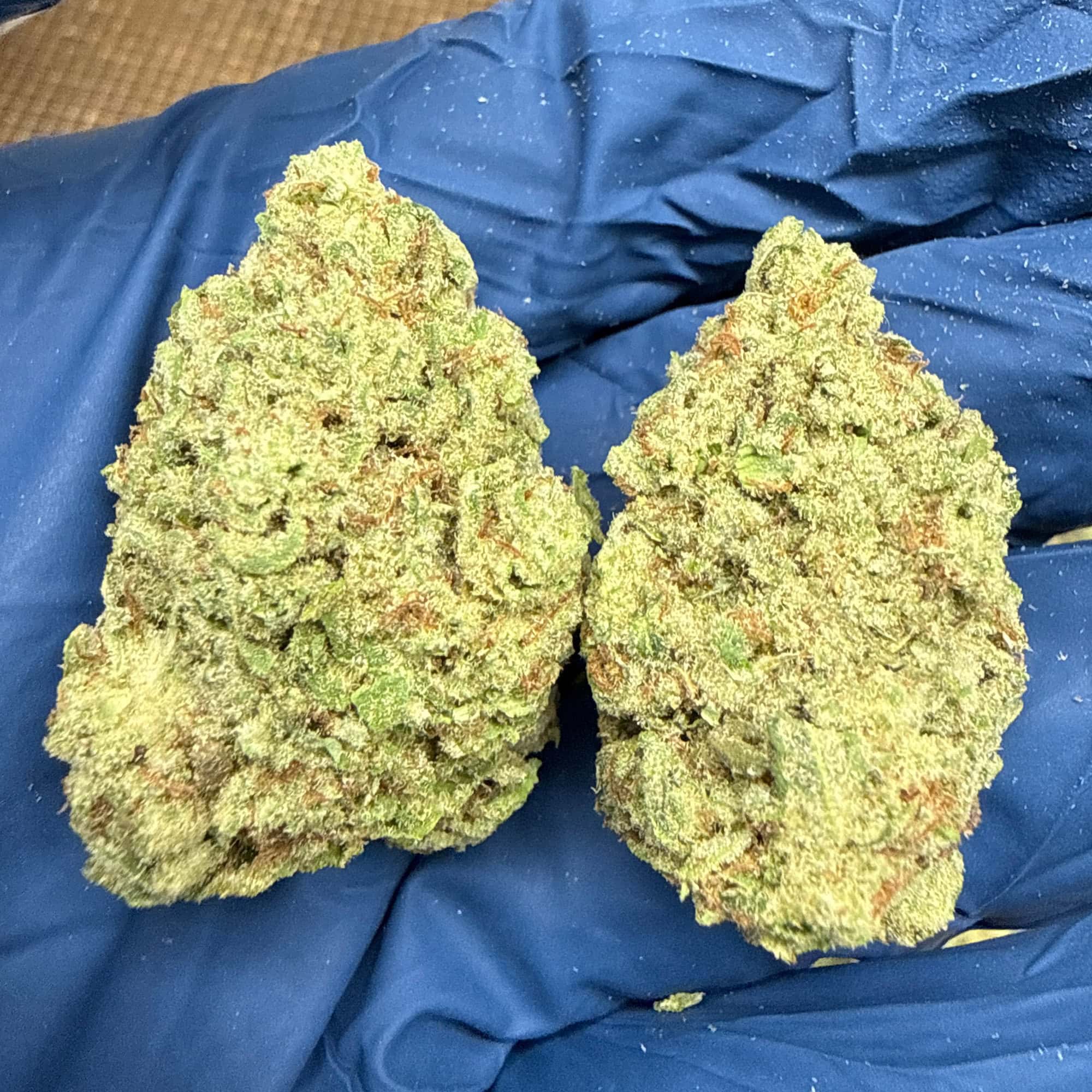 Pineapple Express THCA Flower for Sale