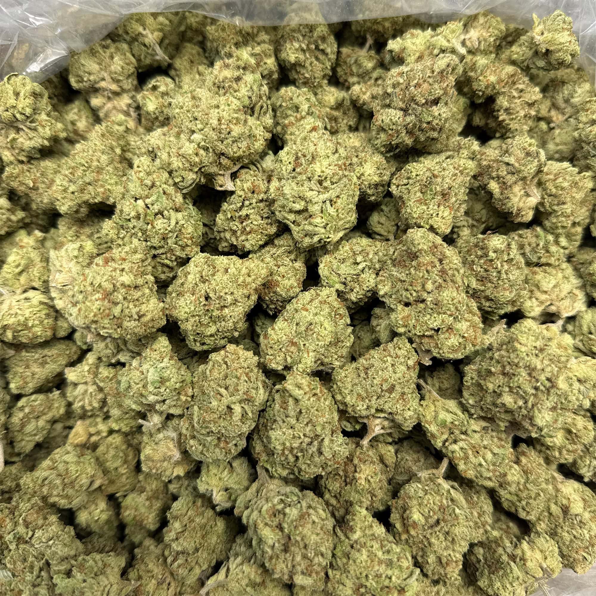 Pineapple Express Cheap THCA Flower
