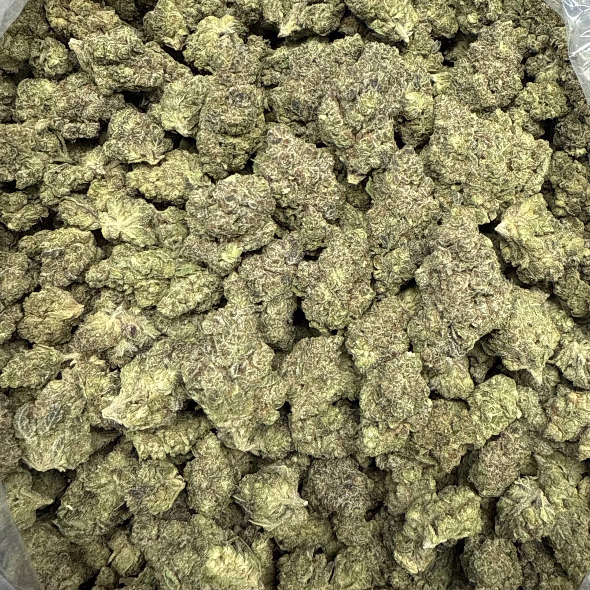 Rudeboi OG THCA Flower Bulk Wholesale
