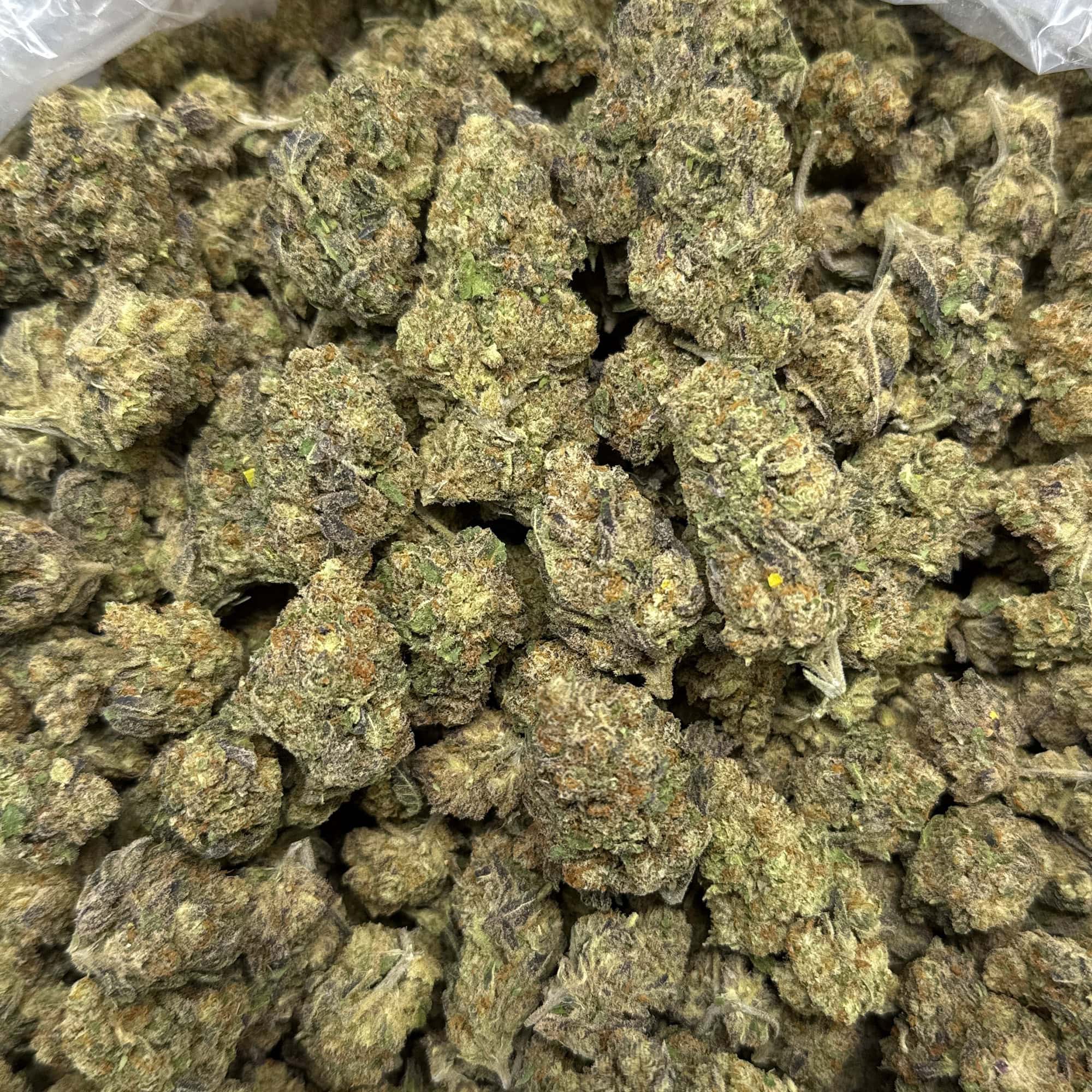 Rudeboi OG Bulk THCA Flower Cheap