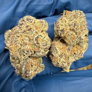 Blueberry THCA Flower for Sale