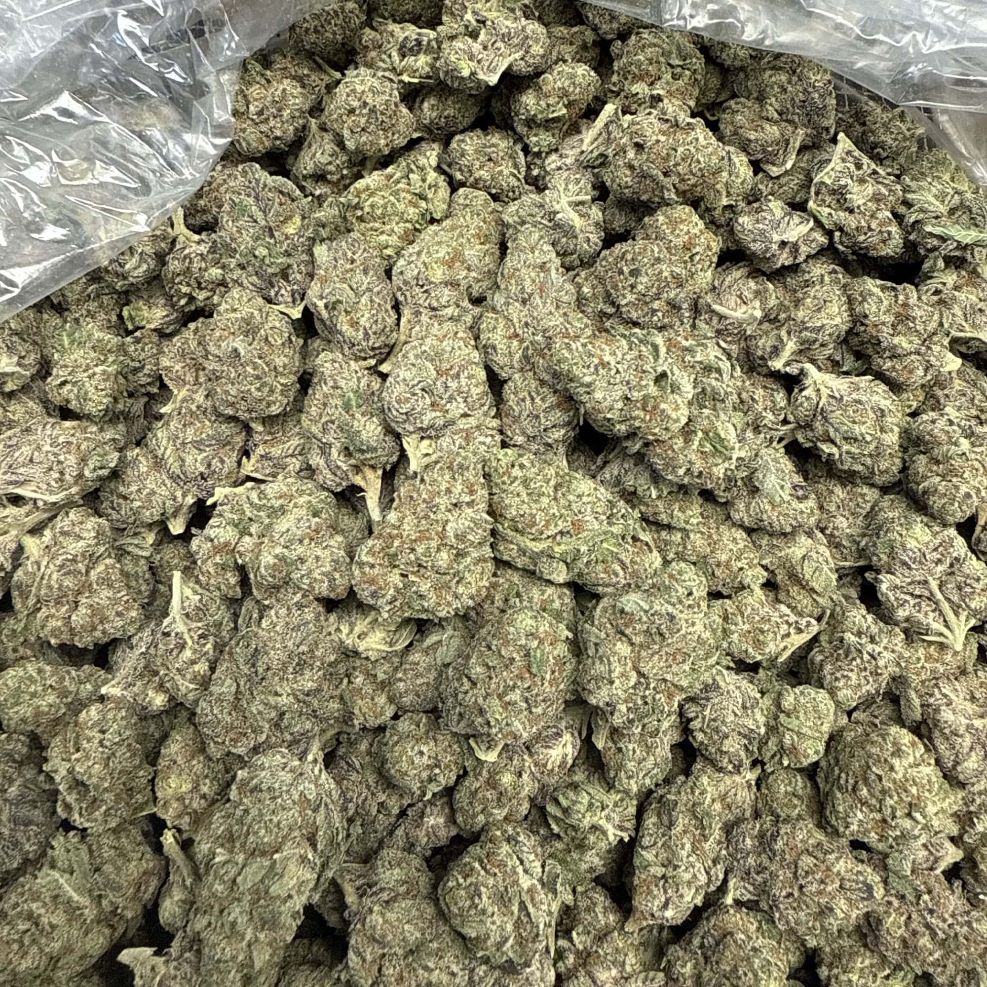 Blueberry THCA Flower Bulk Pounds