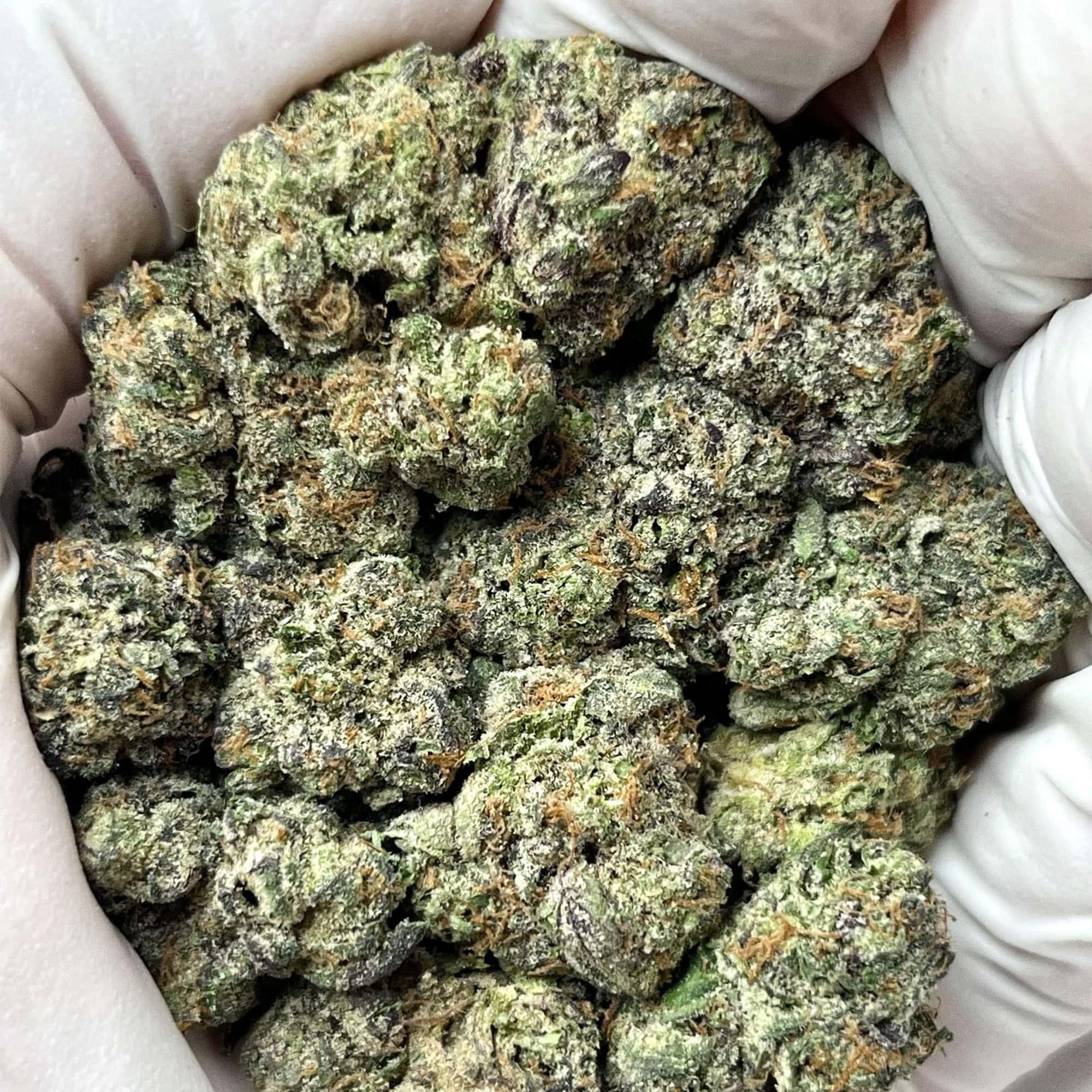 Blueberry THCA Flower Pounds For Sale