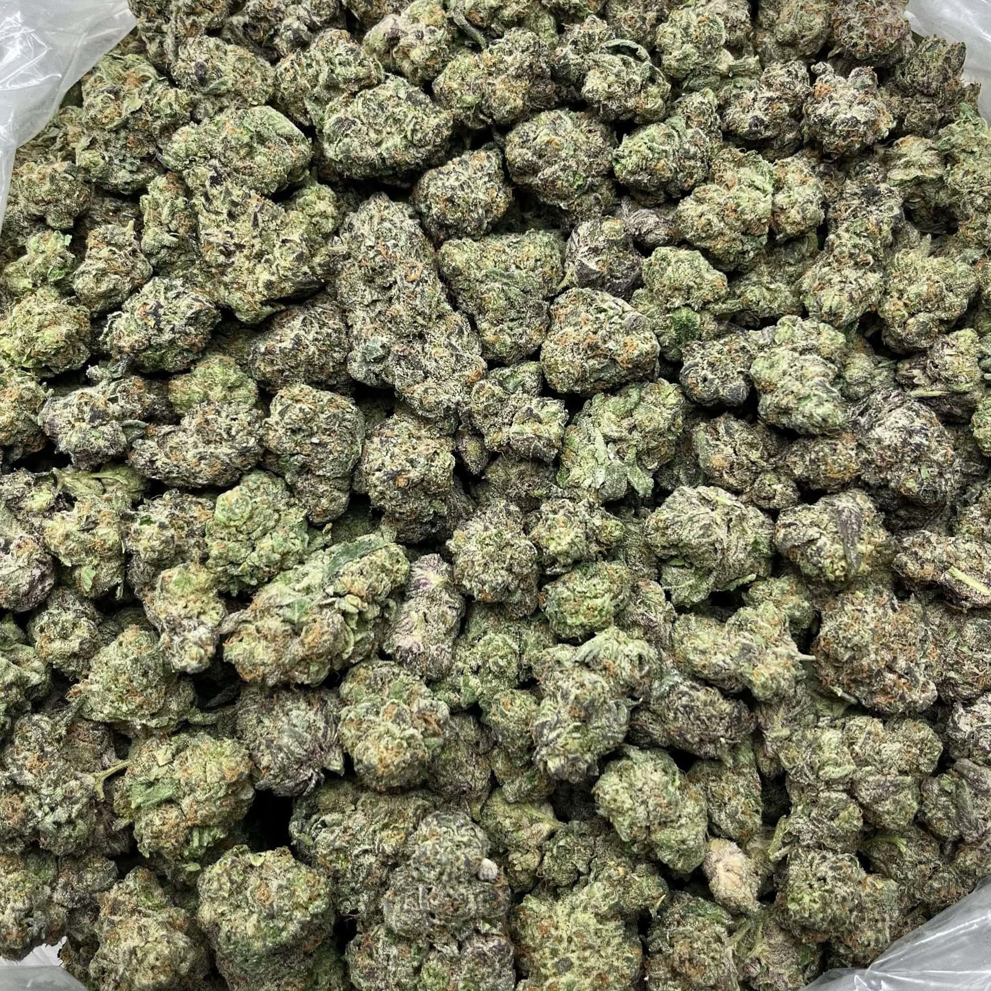 Blueberry THCA Flower Quarter Pounds Wholesale