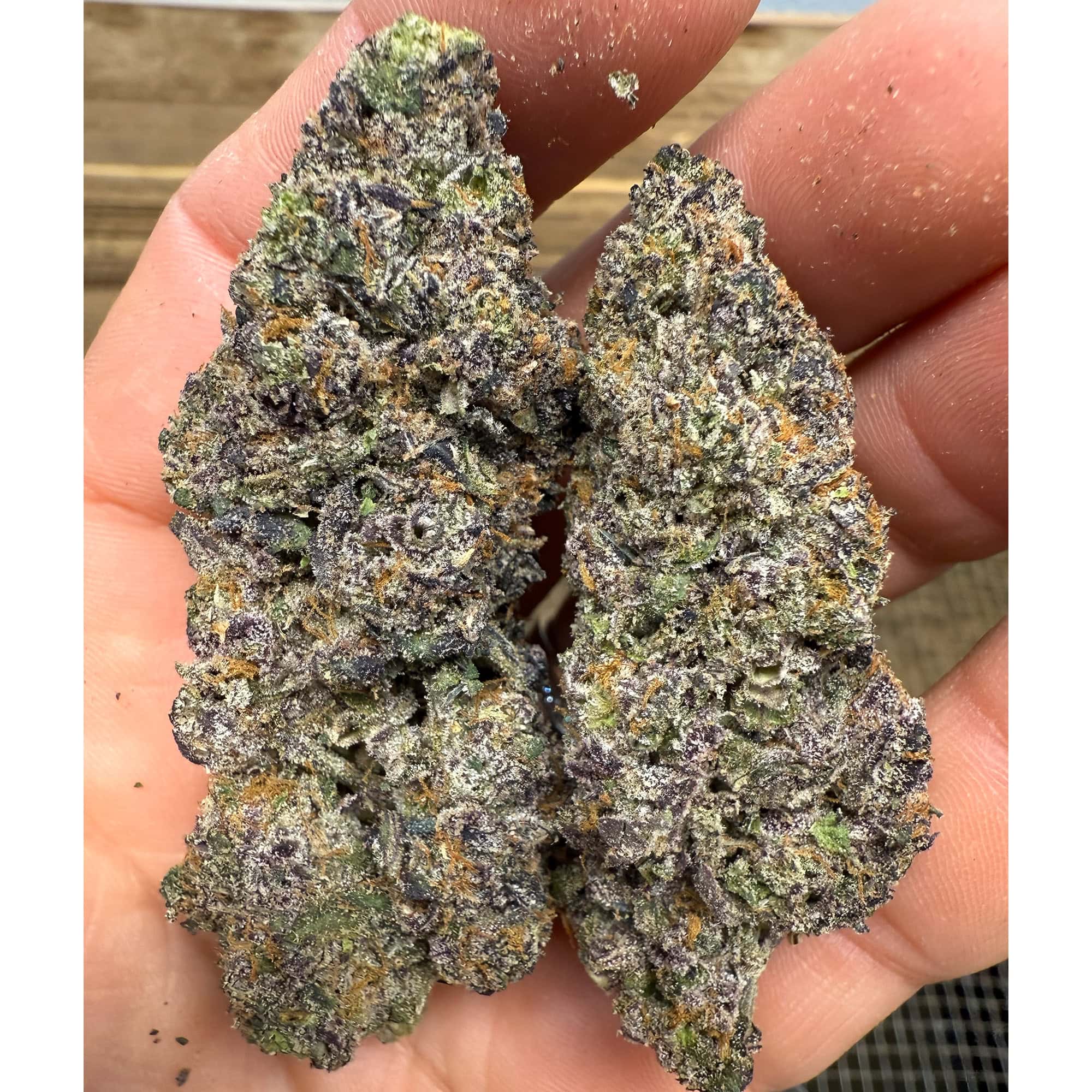 Gelato 45 THCA Flower for Sale