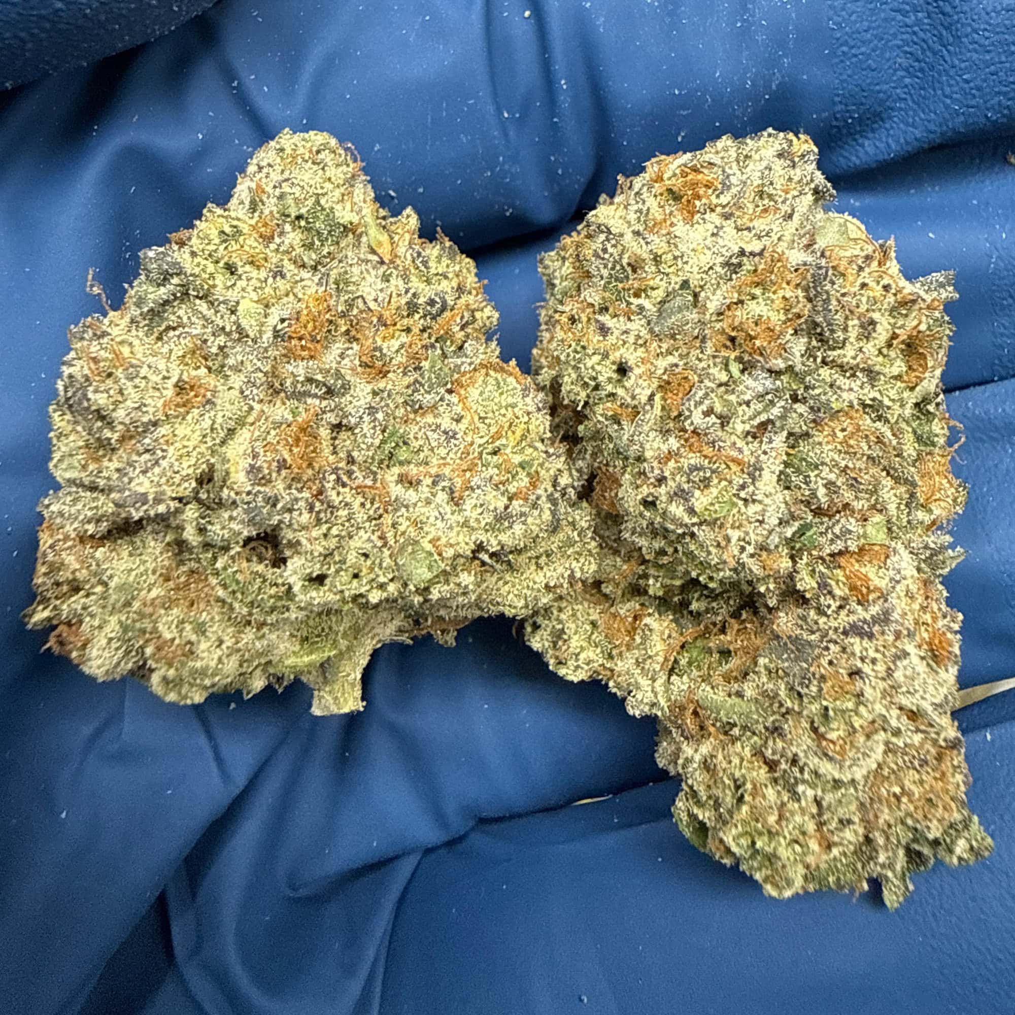 Gelato 45 Cheap THCA Flower Pounds