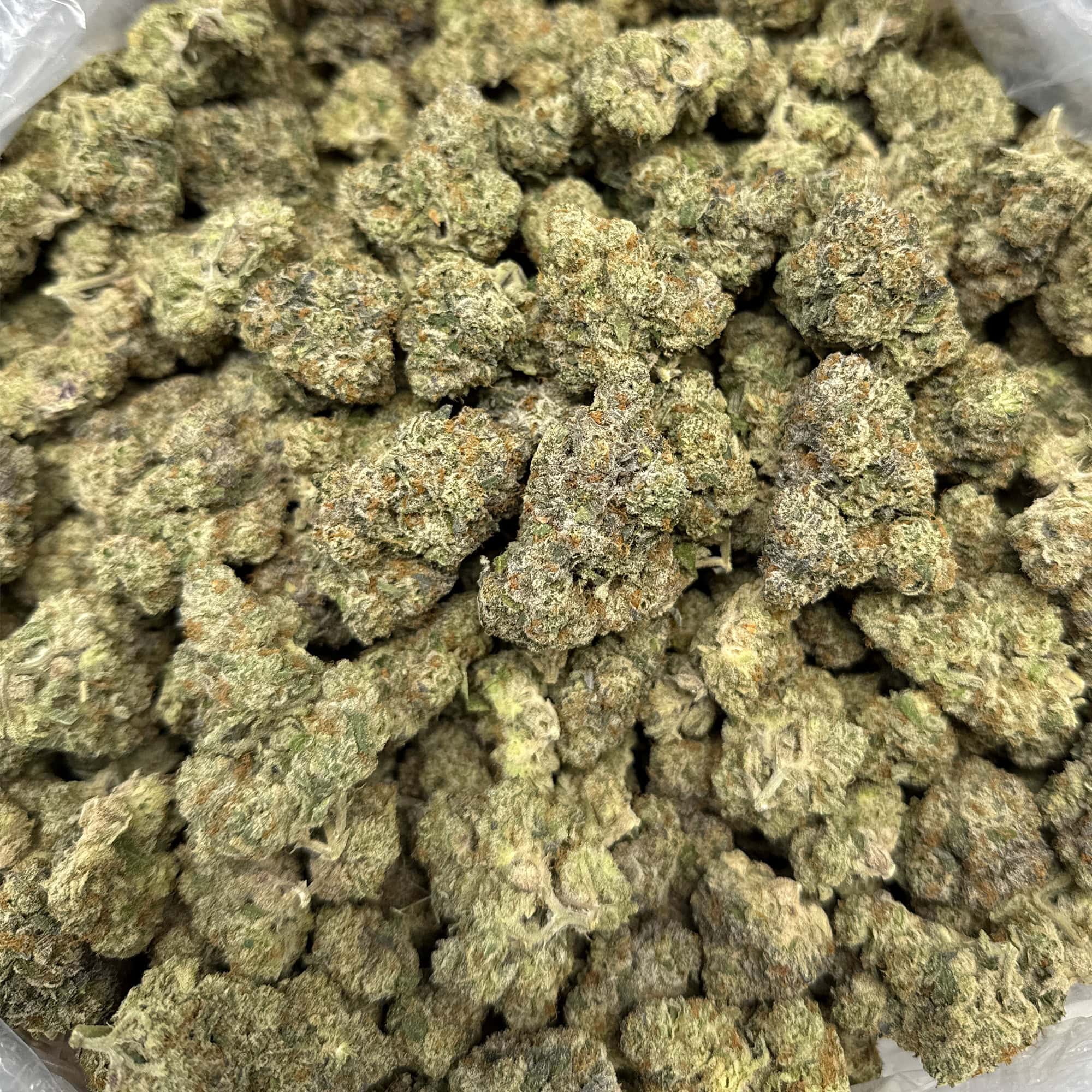 Gelato 45 Cheap THCA Flower Bulk