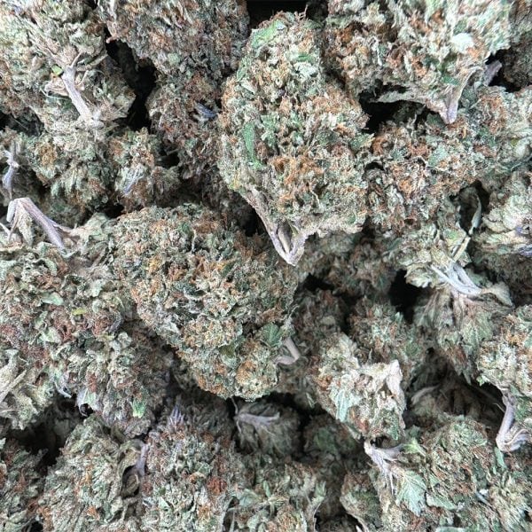 Gelato 45 THA Flower Bulk Pounds for Sale