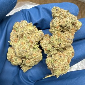 Glitter Bomb THCA Flower for Sale