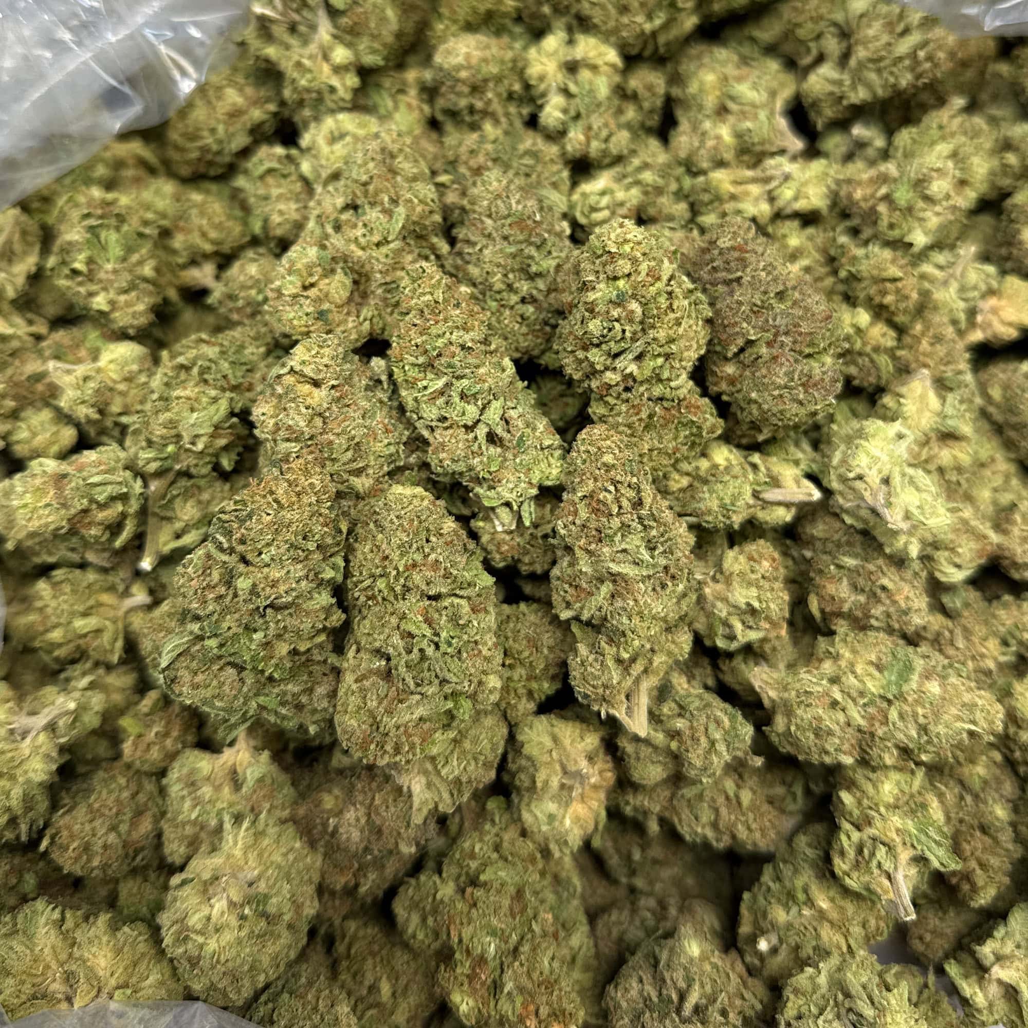 RS11 Cheap THCA Flower Pounds