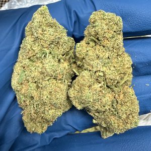 Blue Dream THCA Flower for Sale
