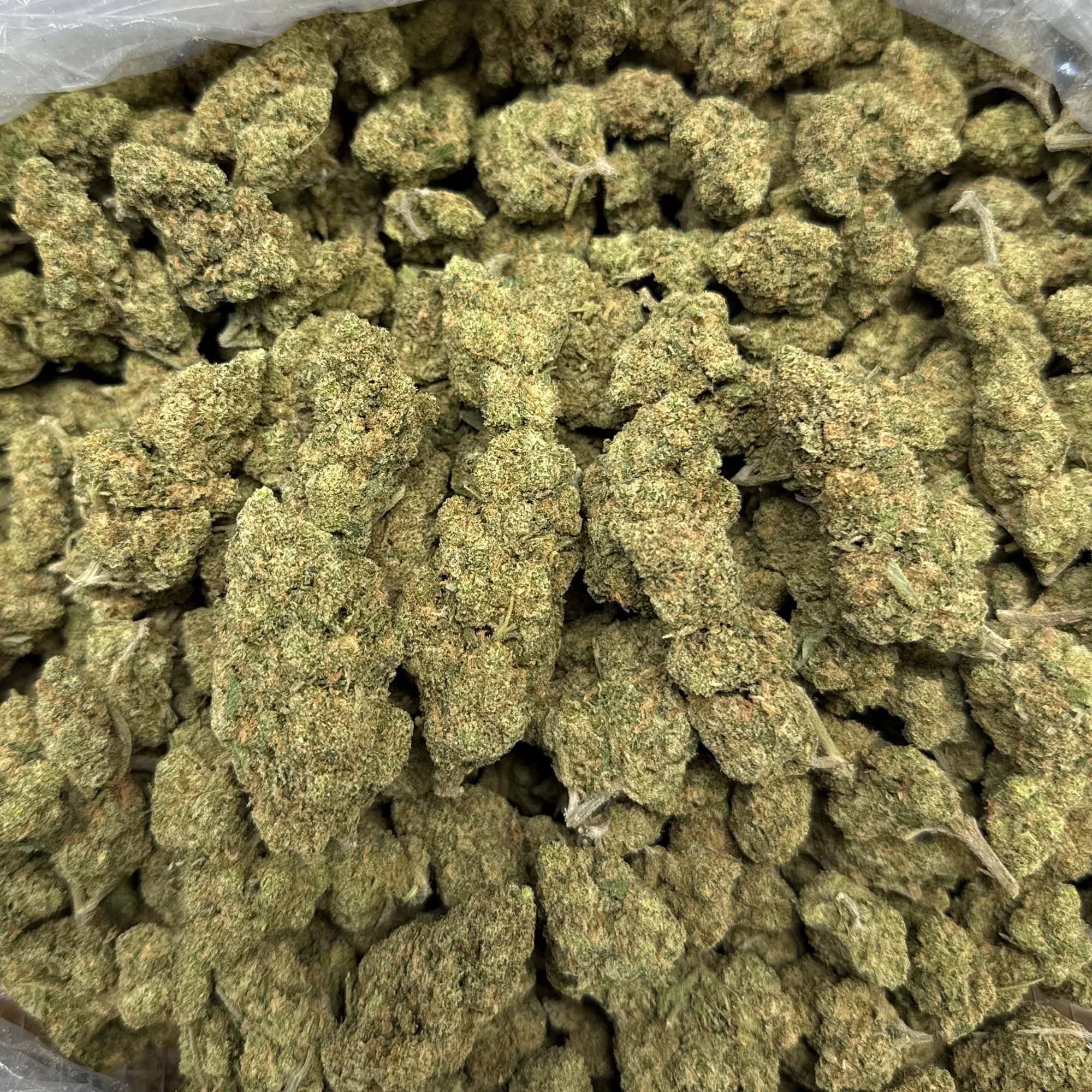 Blue Dream THCA Flower Ounces